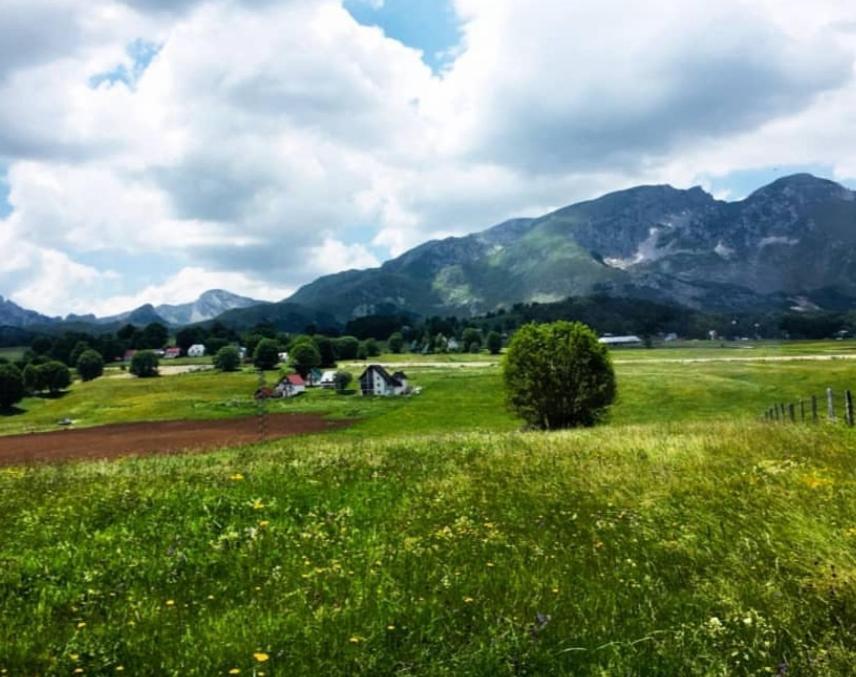 Mountain Peaceful Cottages Zabljak  Exterior photo